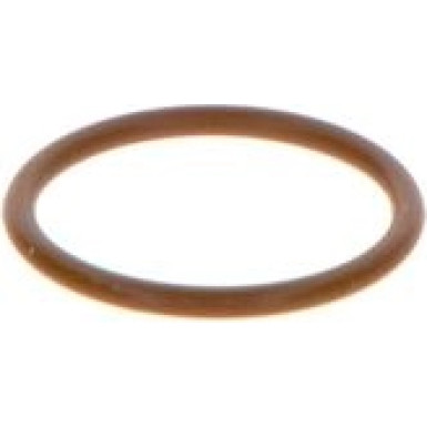 BOSCH | Dichtring | F 00V P01 005
