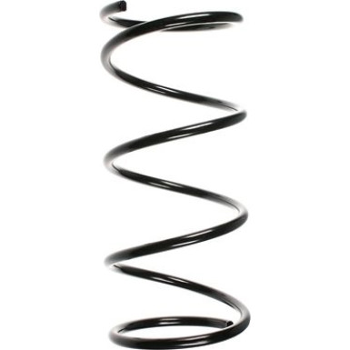 Spidan | Fahrwerksfeder | 49561 Spidan | Fahrwerksfeder | 49561