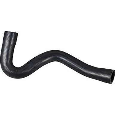 2420955 Kühlerschlauch