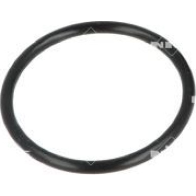 775023 Kühlmittelflansch