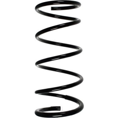 Spidan | Fahrwerksfeder | 55878