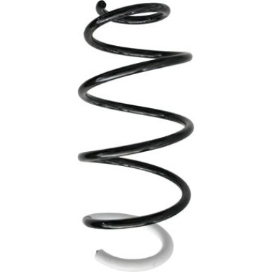 Spidan | Fahrwerksfeder | 87362