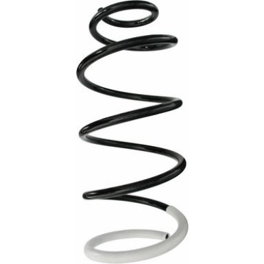 Spidan | Fahrwerksfeder | 87064