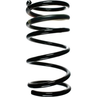 Spidan | Fahrwerksfeder | 55324