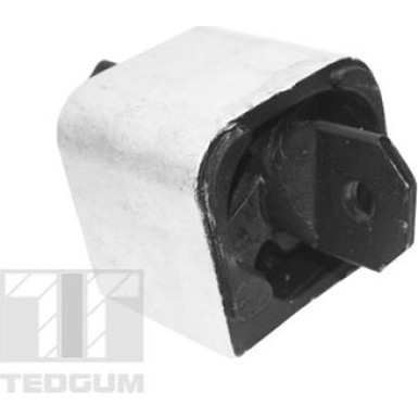 Tedgum | Lagerung, Motor | TED99764