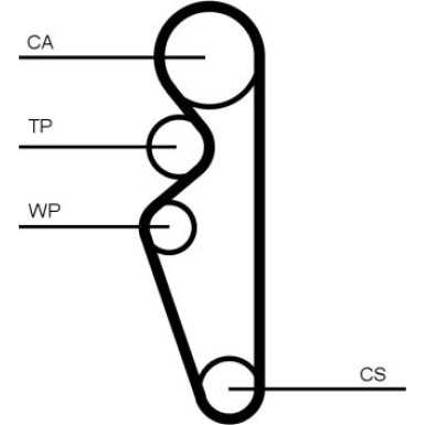CT1164 Zahnriemen