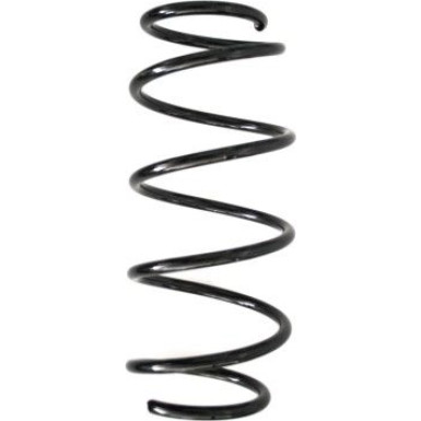 Spidan | Fahrwerksfeder | 55260