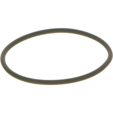BOSCH | Dichtring | F 00N 201 306