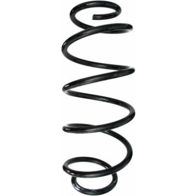 Spidan | Fahrwerksfeder | 49658