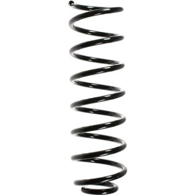 Spidan | Fahrwerksfeder | 49486