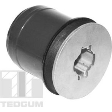 Tedgum | Lagerung, Achskörper | TED32529
