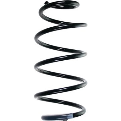 Spidan | Fahrwerksfeder | 55971
