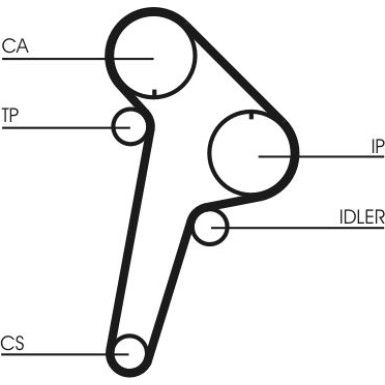 CT891 Zahnriemen