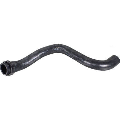 2422170 Kühlerschlauch