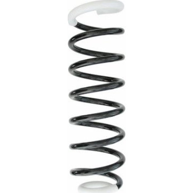 Spidan | Fahrwerksfeder | 49693