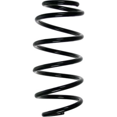 Spidan 2 x SPIDAN Fahrwerksfeder 56841