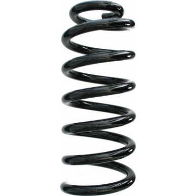 Spidan 2 x SPIDAN Fahrwerksfeder 87695