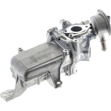 CE 36 000P Kühler, Abgasrückführung BEHR *** PREMIUM LINE ***