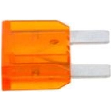 1 987 529 020 Sicherung