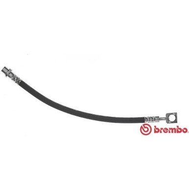 Brembo | Bremsschlauch | T 59 081