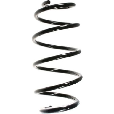 Spidan | Fahrwerksfeder | 55968