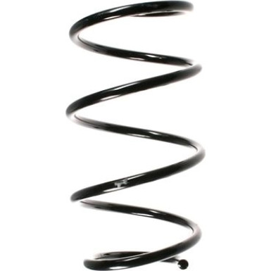Spidan | Fahrwerksfeder | 55096