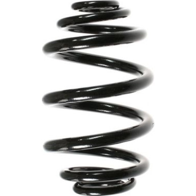 Spidan | Fahrwerksfeder | 49796