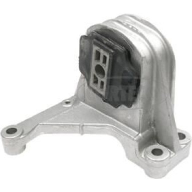 Corteco | Lagerung, Motor | 80000545
