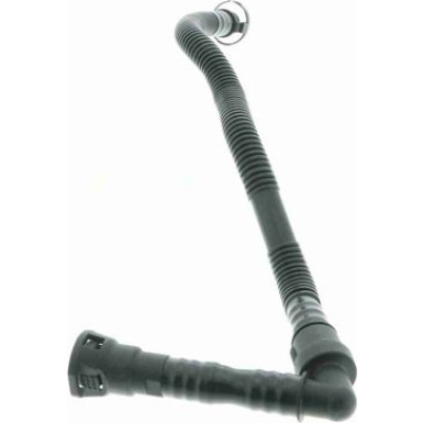 V20-1800 Schlauch, Zylinderkopfhaubenentlüftung Original VAICO Qualität V20-1800 Schlauch, Zylinderkopfhaubenentlüftung Original VAICO Qualität