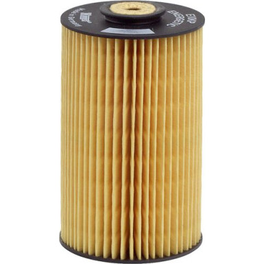 Hengst Filter | Kraftstofffilter | E10KP D10