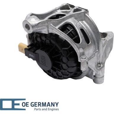 OE Germany | Lagerung, Motor | 800562