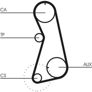 CT630 Zahnriemen CT630 Zahnriemen
