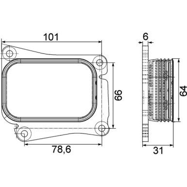 Mahle | Ölkühler, Motoröl | CLC 111 000S