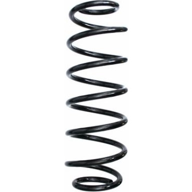 Spidan | Fahrwerksfeder | 87556