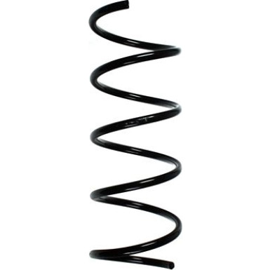 Spidan | Fahrwerksfeder | 55755