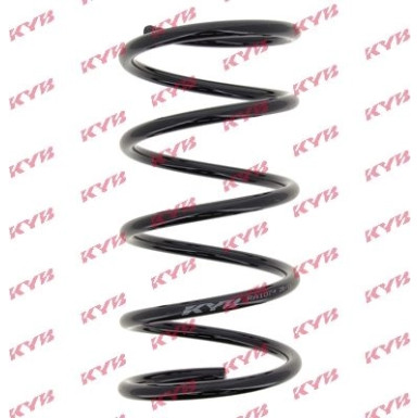 RA1874 Fahrwerksfeder K-Flex