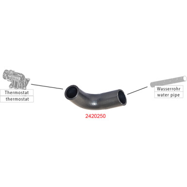 2420250 Kühlerschlauch