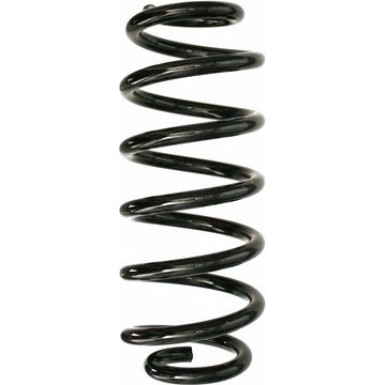 Spidan | Fahrwerksfeder | 87480