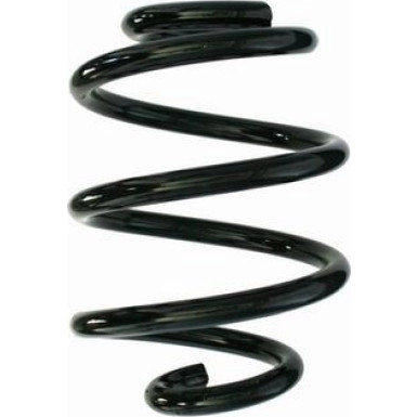Spidan | Fahrwerksfeder | 87513