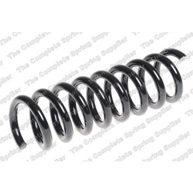 4256880 Fahrwerksfeder