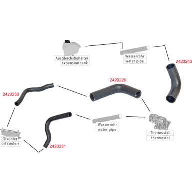 2420229 Kühlerschlauch
