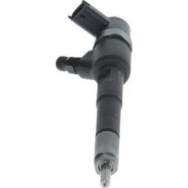 BOSCH 0 445 110 351 Einspritzdüse