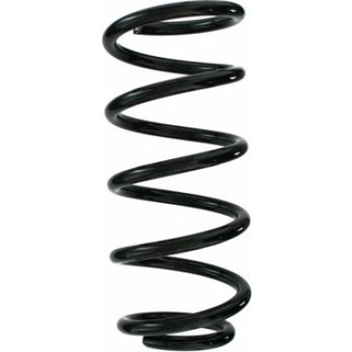 Spidan | Fahrwerksfeder | 87193