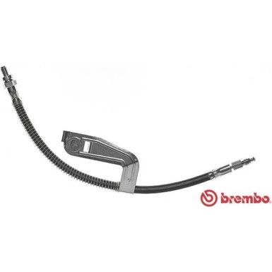 Brembo | Bremsschlauch | T 24 095