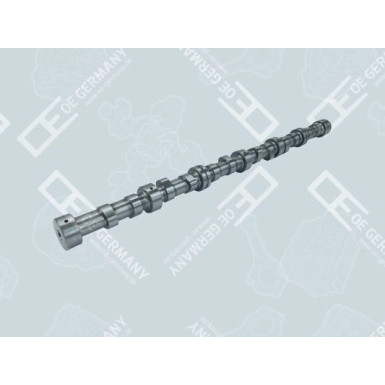 OE Germany | Nockenwelle | 06 0500 XF9500