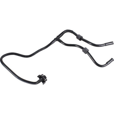 2421907 Kühlerschlauch