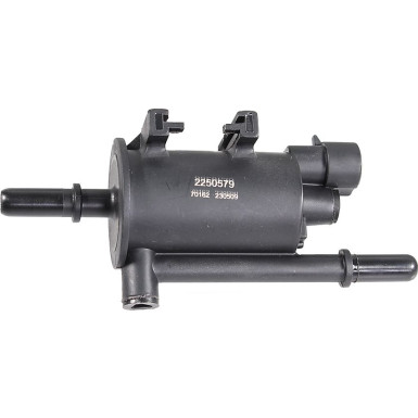 2250579 Belüftungs-/Entlüftungsventil, Kraftstofftank