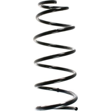 Spidan | Fahrwerksfeder | 55915