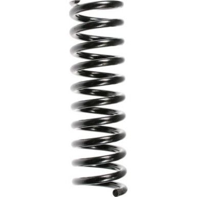 Spidan | Fahrwerksfeder | 48672