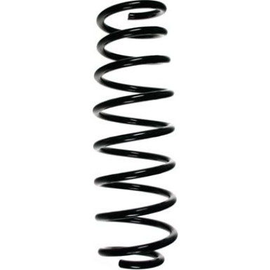 Spidan | Fahrwerksfeder | 49161